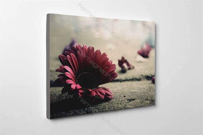 خرید تابلو شاسی pink flower | طرح دلخواه تابلو شاسی فروش تابو عکس فروش قاب شاسی چاپ عکس دلخواه روی شاسی فروش شاسی خام و طرحدار بالاترین کیفیت چاپ
