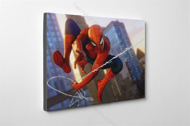 تابلو شاسی گیمینگ spider man | قابل سفارش با طرح دلخواه - گیمینگ تابلوشاسی رد دد تابلو شاسی جوکر تابلو شاسی های فانتزی با بهترین کیفیت چاپ انواع شاسی