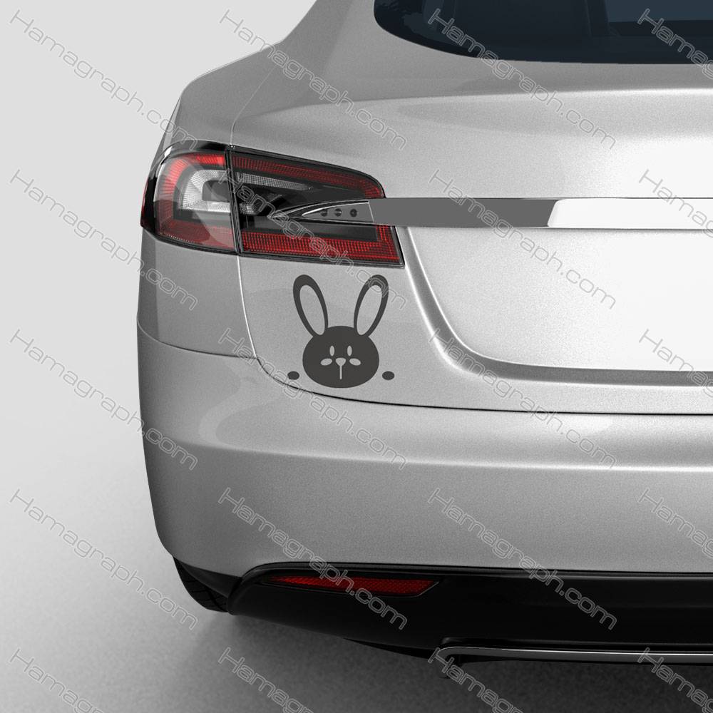 برچسب بدنه ماشین طرح rabit 2 - طرح خرگوش بامزه - استیکر بدنه خودرو - برچسب طرح دار